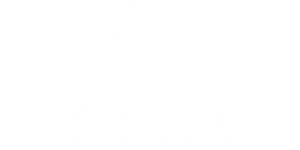 visible music college logo