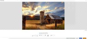 Crop Resize options