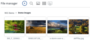 MCC Media File Manager