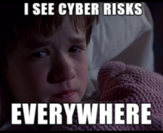 I see cyber risks everywhere meme