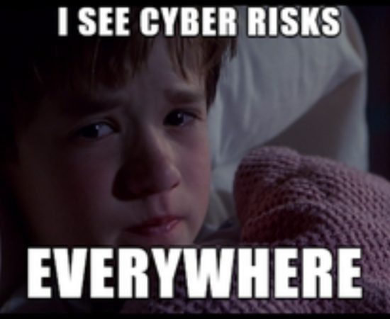 I see cyber risks everywhere meme